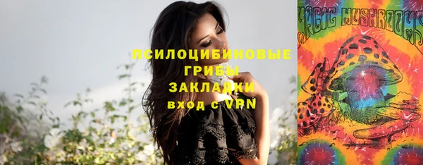 кокс Карпинск