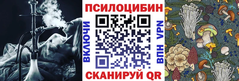 Купить Канаш Галлюциногенные грибы GOLDEN TEACHER