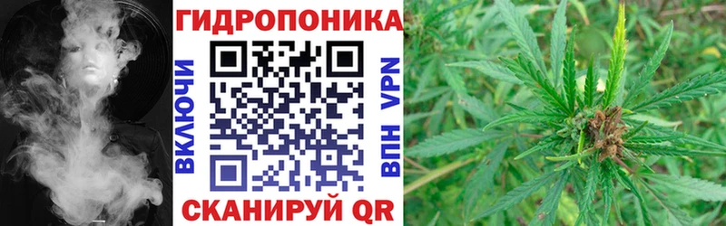 Каннабис семена  Купить где  Канаш 